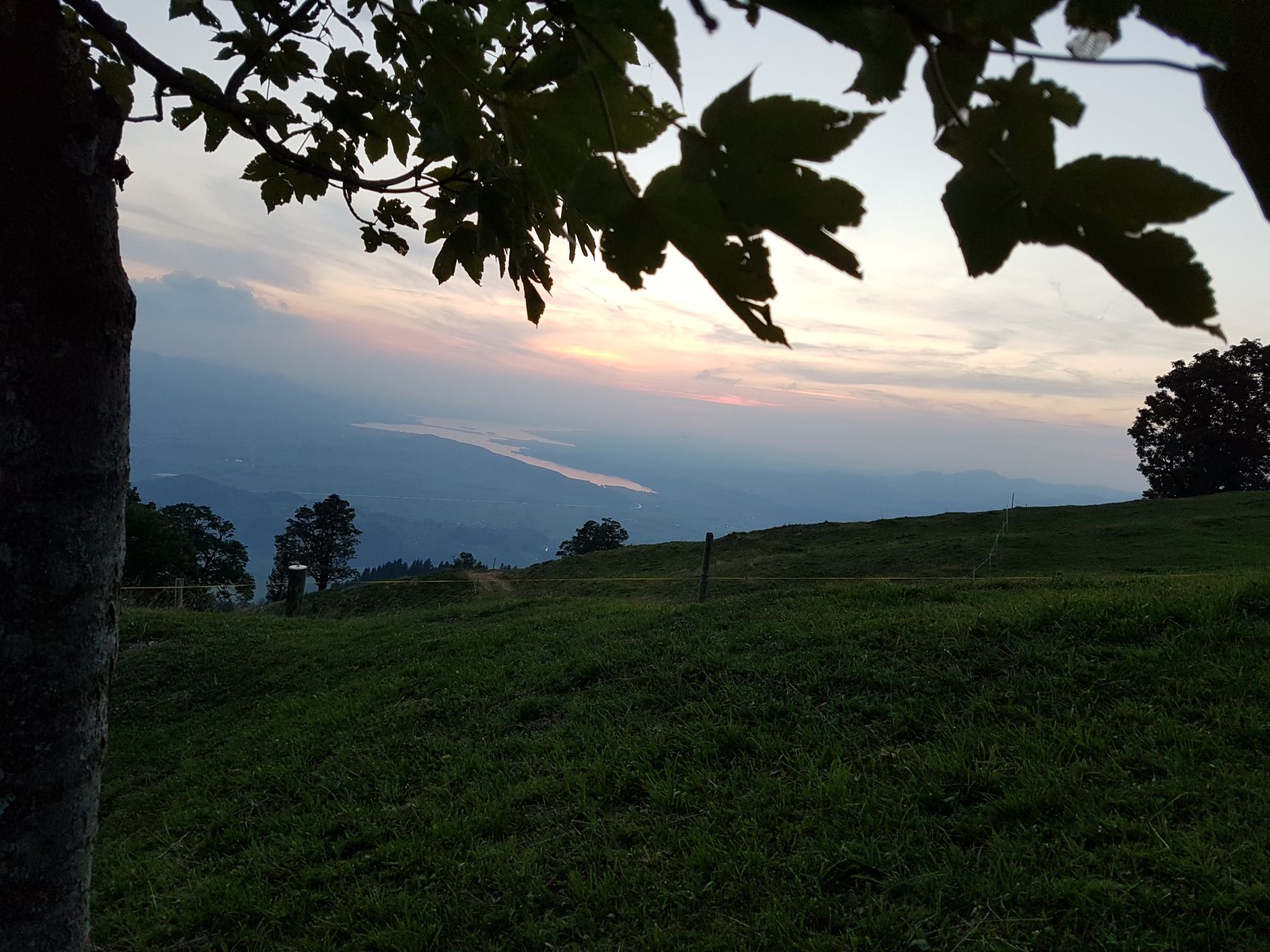 20170817_204224.jpg