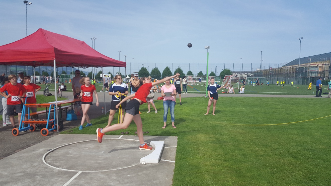 20180526_101129_resized.jpg